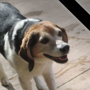 Meet your Posher, Shawna